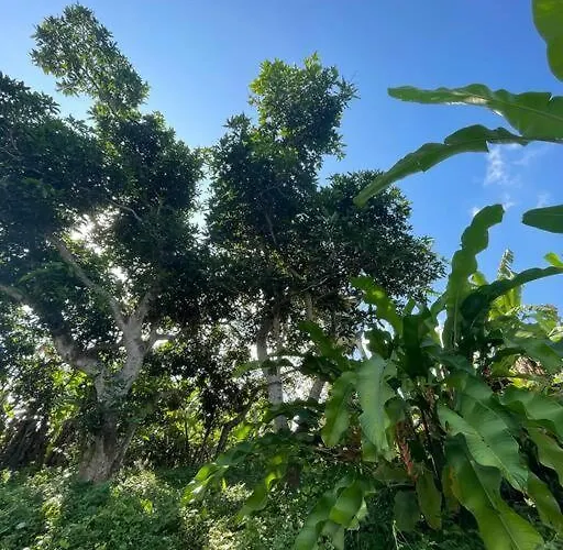 Desaka Bisma Gasthuis Ubud