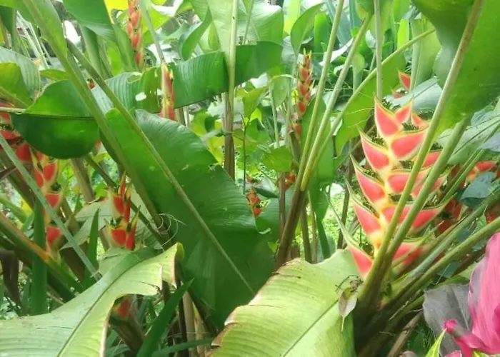 Desaka Bisma * Ubud